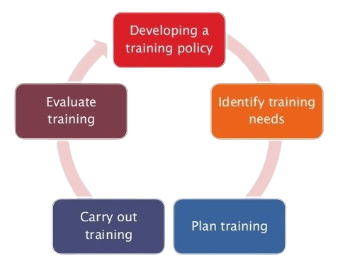 Training-and-Development-Process